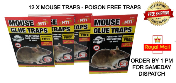 NTI EXTRA STRENGTH MOUSE/RAT GLUE TRAP - POISON FREE TRAPS