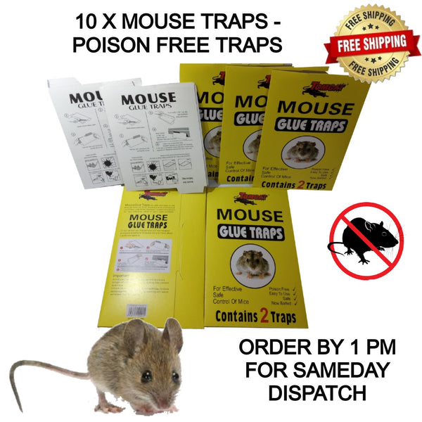 TOMCAT EXTRA STRENGTH MOUSE / RAT GLUE TRAPS - (22cm)